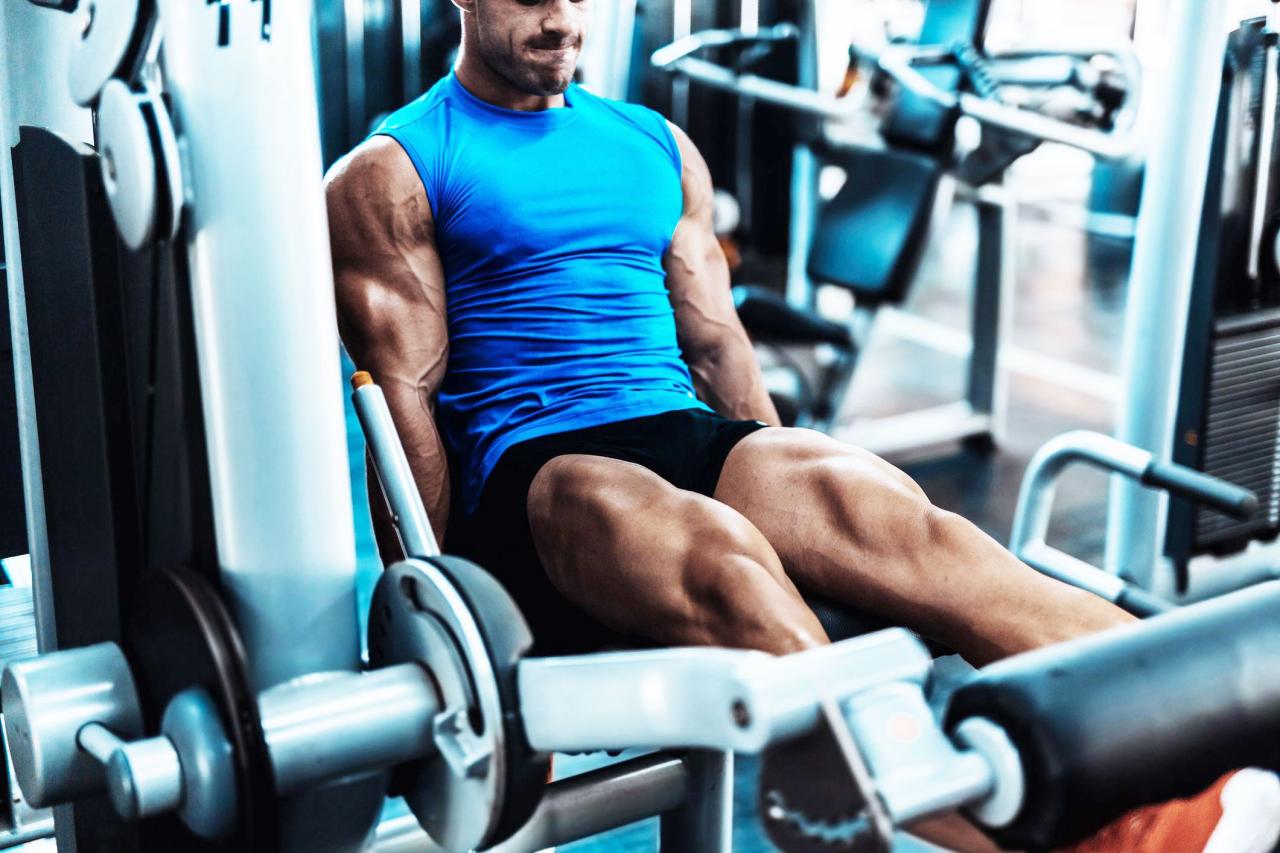 Your Definitive Guide to Leg Extensions